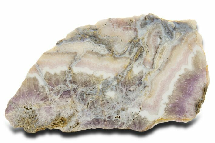 Polished Sowbelly Agate (Amethyst) Slab - Colorado #337028